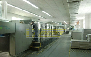 ROLAND 700